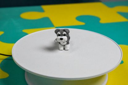 Obrazek Brelok Sznaucer